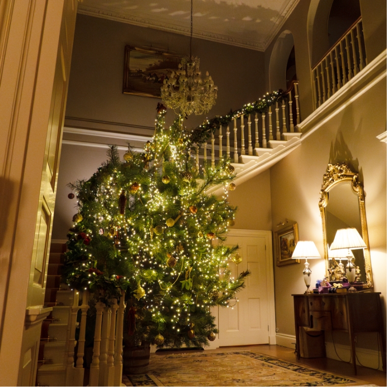 christmas-kirkbyfleethamhallestate-montage-12